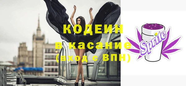 дурь Ельня