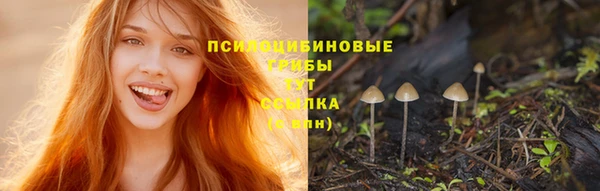 МДПВ Абаза
