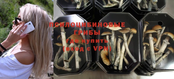 МДПВ Абаза