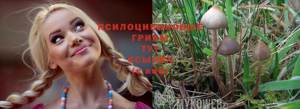 МДПВ Абаза