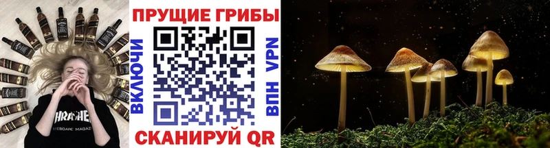 Галлюциногенные грибы ЛСД  Агидель 